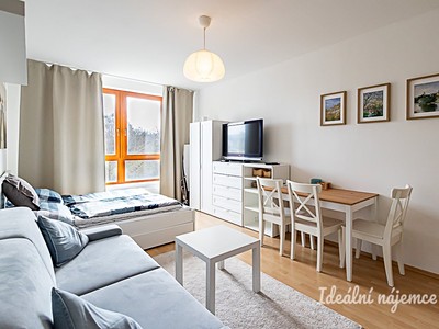 Pronájem bytu 1+kk 28 m²