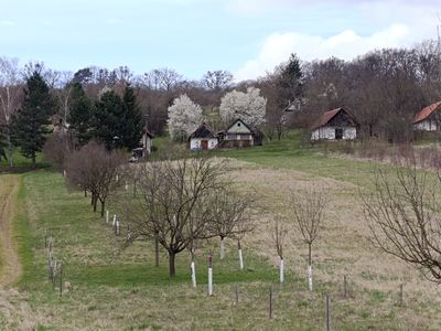 Prodej zahrady 899 m²
