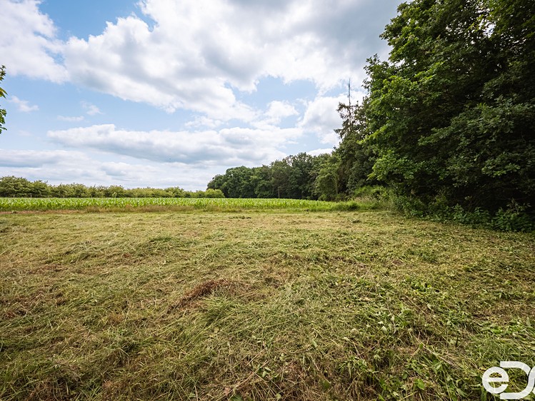 Grundstück zum Kauf, 11.163 m² (16 von 16)