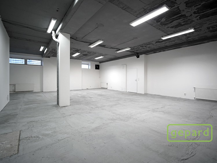 Gewerbefläche zur Miete, 100 m² (1 von 8)