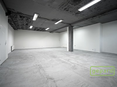 Gewerbefläche zur Miete, 100 m² (3 von 8)