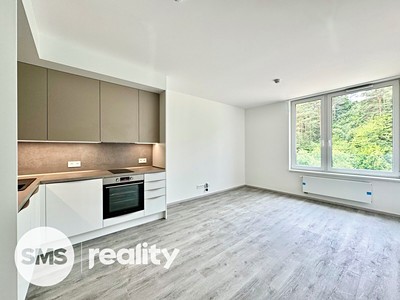 Pronájem bytu 1+kk 31 m²