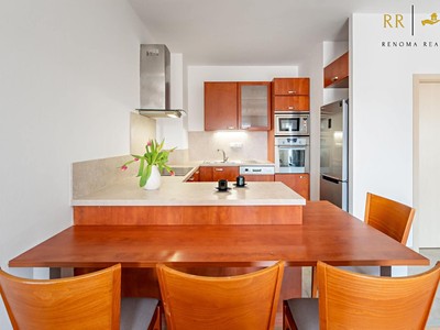 Pronájem bytu 2+kk 55 m² (Jednopodlažní)