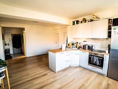 Prodej bytu 2+1 68 m² (Jednopodlažní)