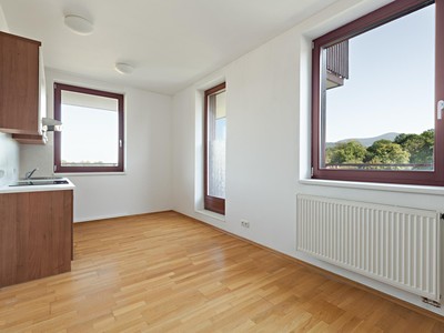 Pronájem bytu 1+kk 42 m²