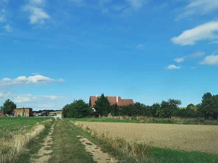 Ostatní