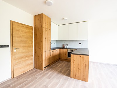 Pronájem bytu 2+kk 65 m² (Jednopodlažní)