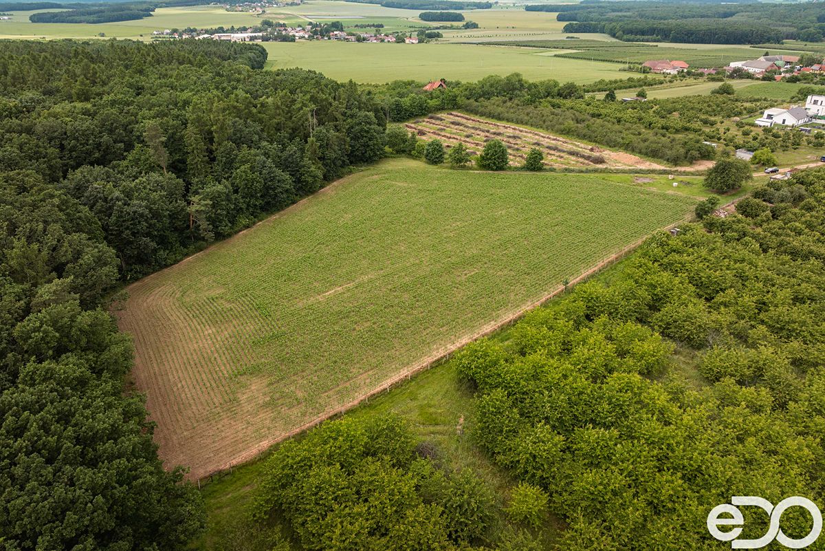 Prodej stavebního pozemku 11163 m² – fotografie 3