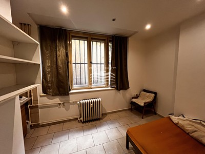 Pronájem bytu 1+kk 20 m² (Jednopodlažní)