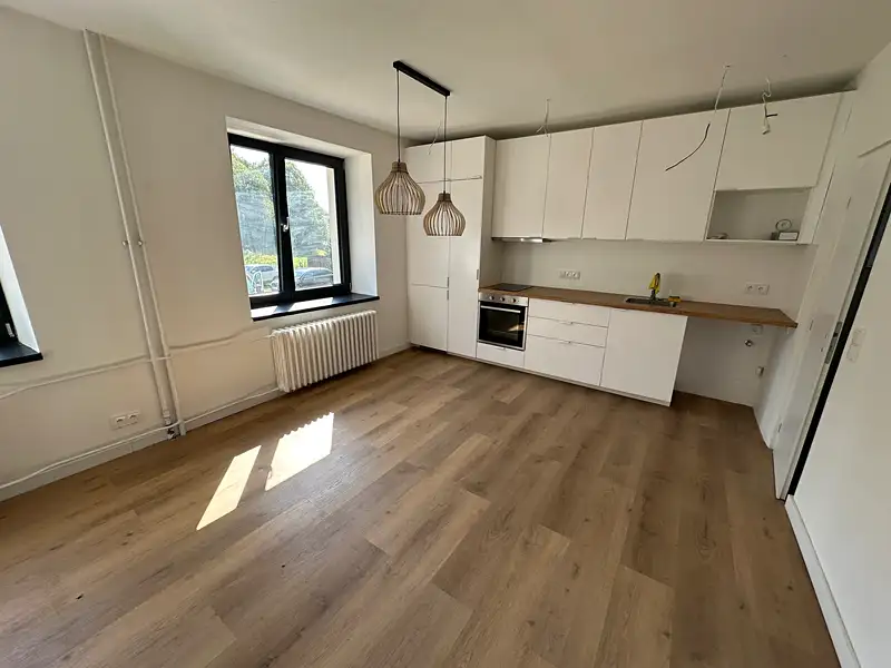 Pronájem bytu 1+kk 26 m², Malá Morava – náhled fotky 3