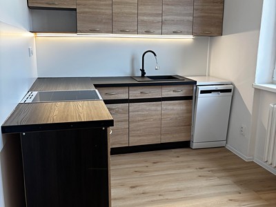 Pronájem bytu 3+1 68 m² (Jednopodlažní)