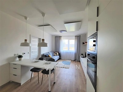 Pronájem bytu 1+kk 47 m²
