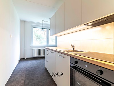 Pronájem bytu 1+1 38 m²