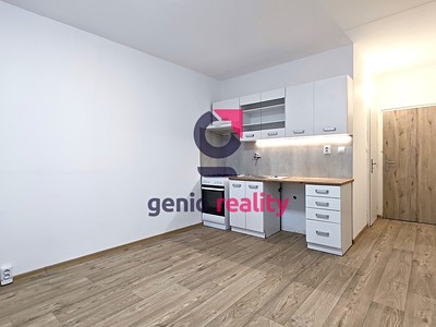 Pronájem bytu 1+1 35 m² (Jednopodlažní)