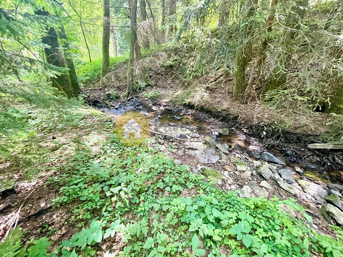 Pronájem chaty 20 m², pozemek 20 m² – fotografie 3