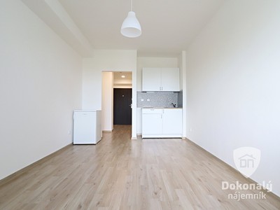 Pronájem bytu 1+kk 26 m²