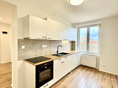 Pronájem bytu 2+1 53 m²