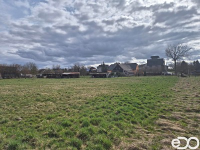 Grundstück zum Kauf, 3.632 m² (3 von 11)