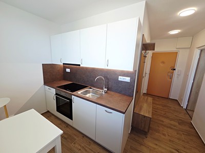 Pronájem bytu 1+1 34 m²