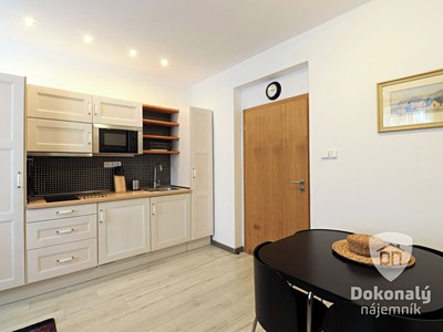 Pronájem bytu 2+kk 48 m²