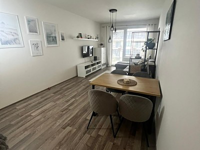 Pronájem bytu 1+kk 49 m² (Jednopodlažní)