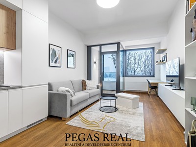 Pronájem bytu 1+kk 33 m²