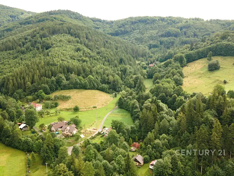 Prodej lesa 20397 m², Nýdek – náhled fotky 3