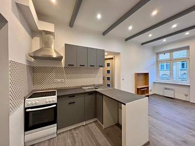 Pronájem bytu 2+1 37 m² (Jednopodlažní)