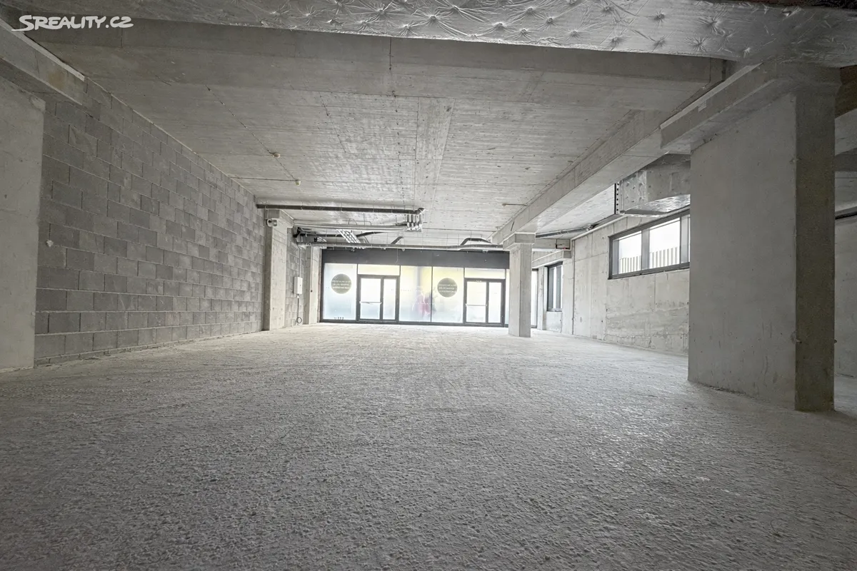 Prodej obchodního prostoru 165 m² – pohled 4