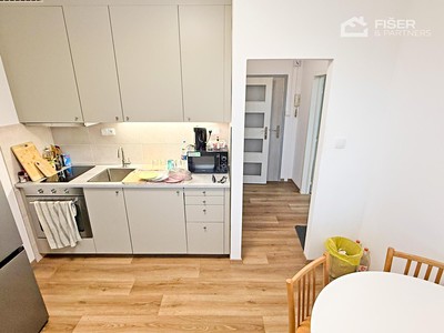 Pronájem bytu 1+1 32 m² (Jednopodlažní)
