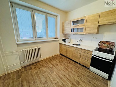 Pronájem bytu 1+1 36 m²