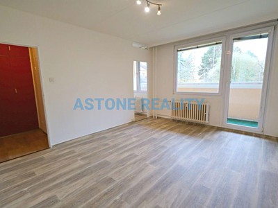 Pronájem bytu 1+1 39 m²