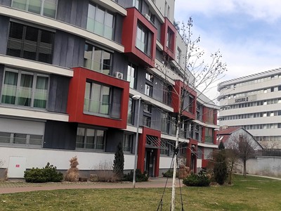 Pronájem bytu 2+kk 68 m² (Jednopodlažní)