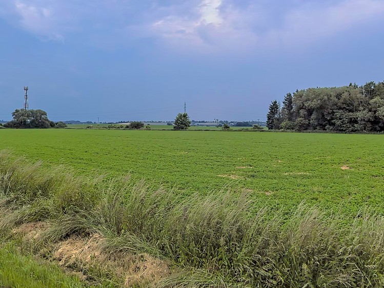 Grundstück zum Kauf, 801 m² (4 von 7)