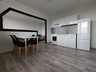Pronájem bytu 1+1 40 m² (Jednopodlažní)