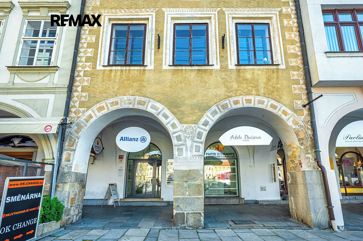 Prodej památky 593 m², pozemek 325 m² – fotografie 2