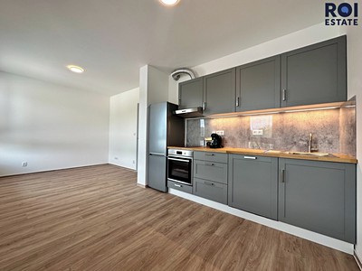 Pronájem bytu 1+kk 33 m²