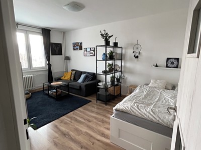 Prodej bytu 1+1 35 m²