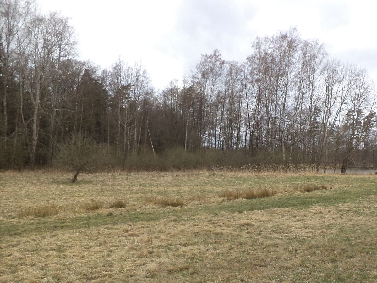 Prodej pozemku 6727 m² – fotografie 3