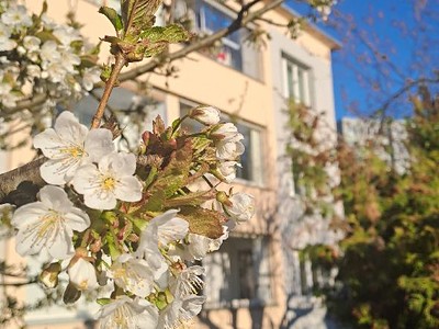 Prodej bytu 2+1 57 m²