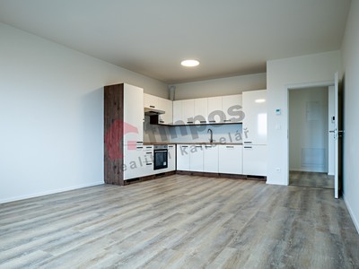 Pronájem bytu 2+kk 54 m²