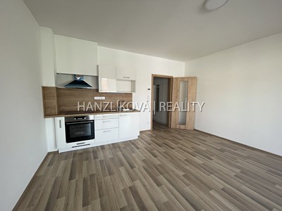 Pronájem bytu 1+kk 33 m²