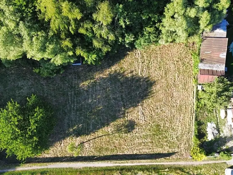 Prodej stavebního pozemku 1626 m², Olšany – náhled fotky 1