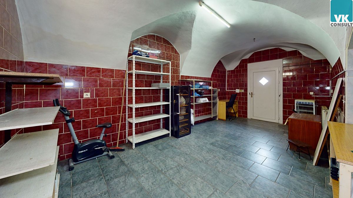Prodej rodinného domu 314 m², pozemek 1374 m² – fotografie 4