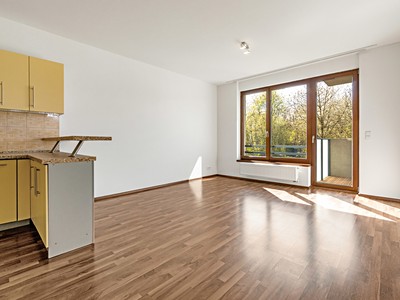 Prodej bytu 2+kk 50 m² (Jednopodlažní)