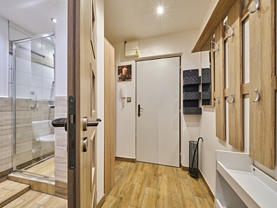 Pronájem bytu 1+kk 28 m² (Jednopodlažní)