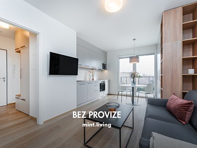 Pronájem bytu 1+kk 39 m²