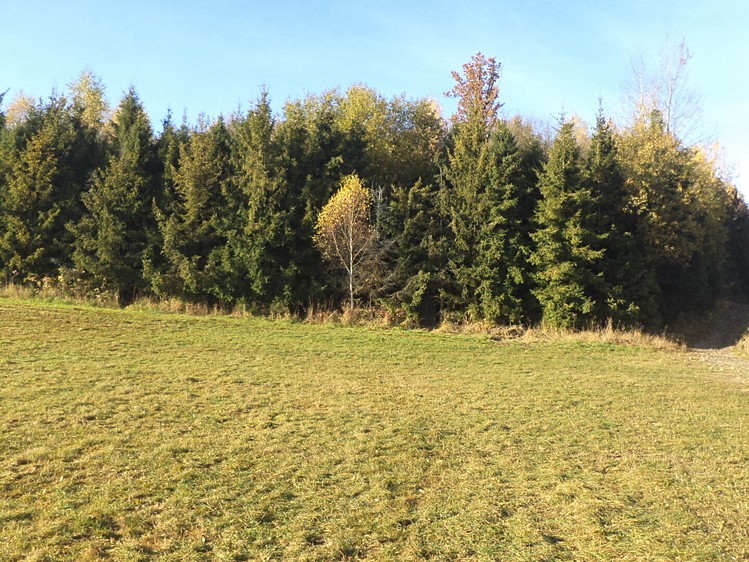Grundstück zum Kauf, 60.778 m² (1 von 13)