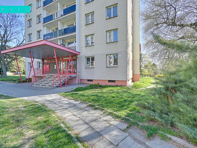 Pronájem bytu 3+1 60 m² (Jednopodlažní)