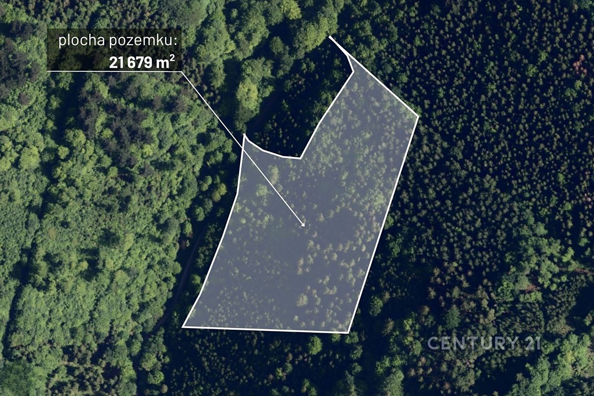 Prodej lesa 21679 m², Nýdek – fotka 1 z 3